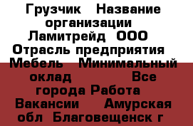 Грузчик › Название организации ­ Ламитрейд, ООО › Отрасль предприятия ­ Мебель › Минимальный оклад ­ 30 000 - Все города Работа » Вакансии   . Амурская обл.,Благовещенск г.